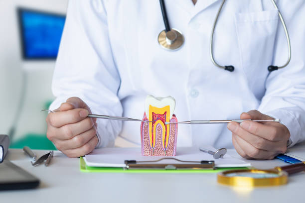 Best Emergency Broken Tooth Repair in Sawmills, NC
